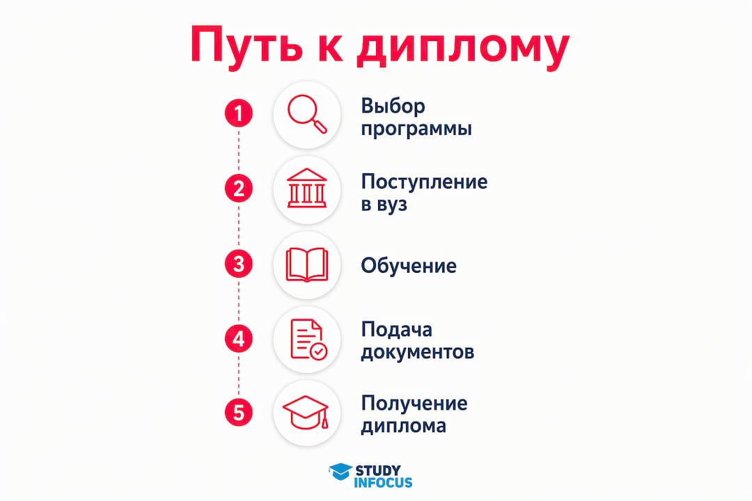 Инфографика: основные этапы получения диплома