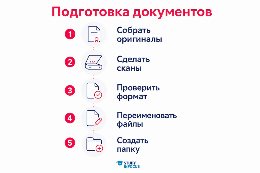 Инфографика: ключевые этапы оформления документов