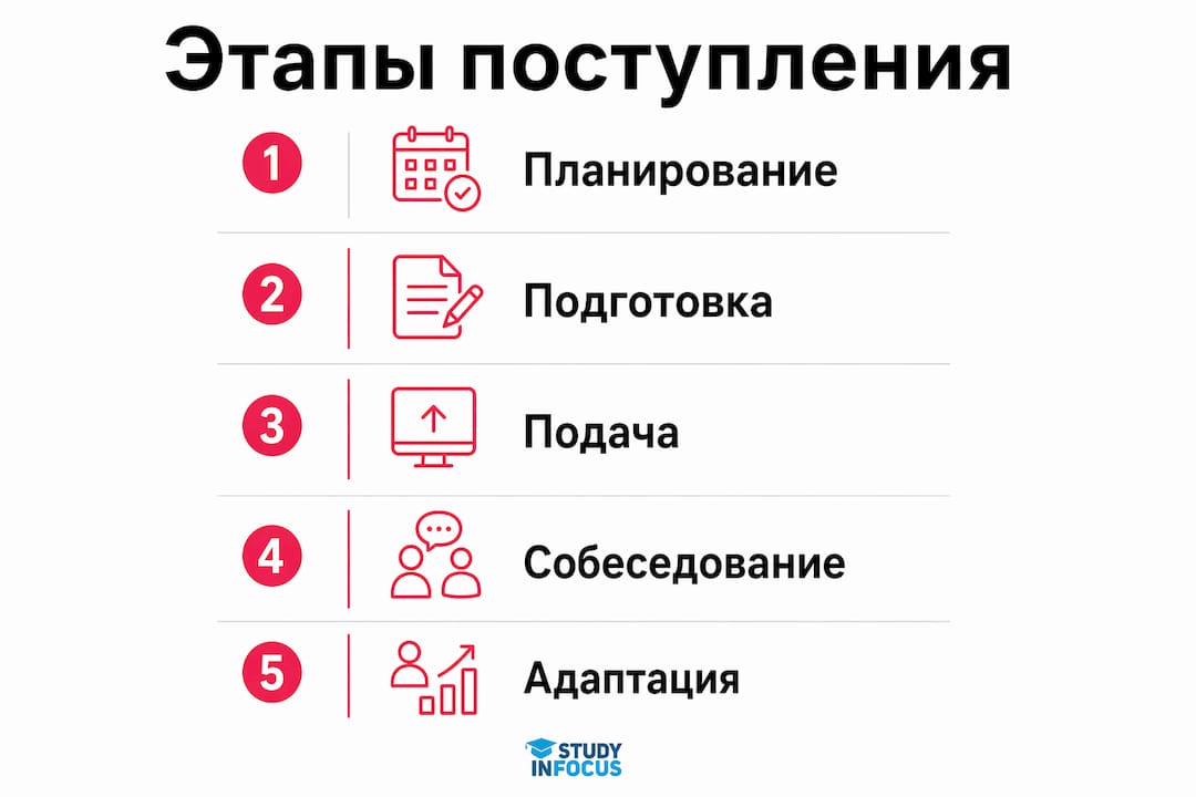 Инфографика: ключевые шаги поступления в немецкий вуз с поддержкой консультаций