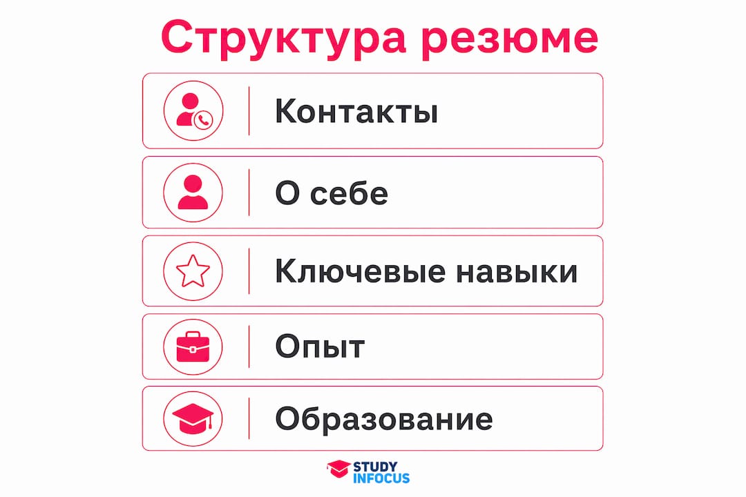 Визуальное представление основных разделов резюме