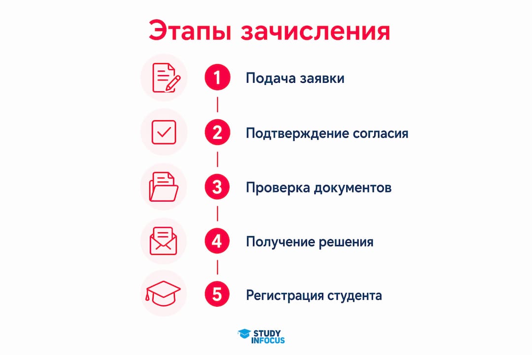 Инфографика: как проходит поступление в университет