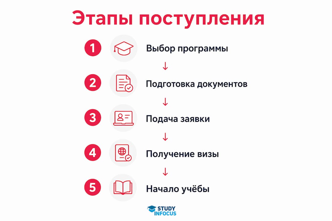 Инфографика: шаги для поступления в университет в Германии