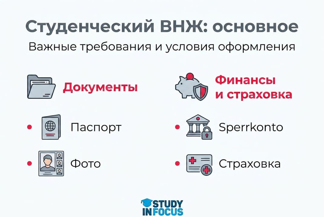 Инфографика: что нужно знать о получении студенческого ВНЖ