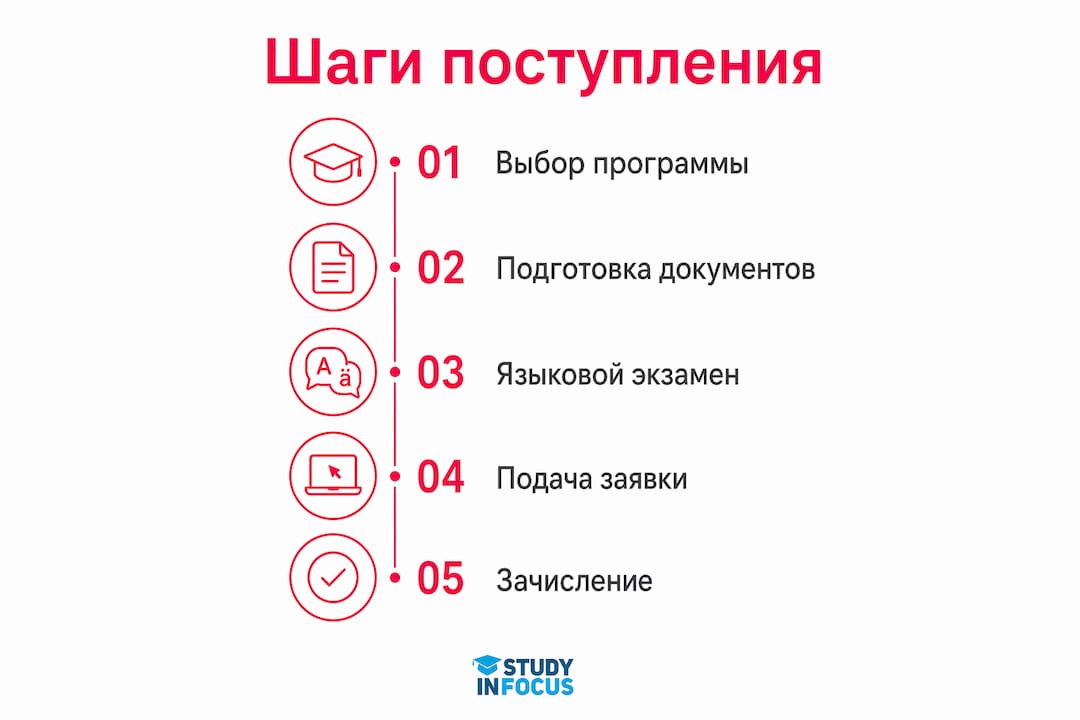 Инфографика: как поступить в немецкий вуз — основные этапы