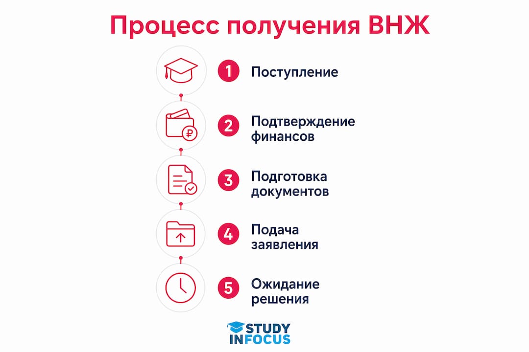 Инфографика: пошаговая инструкция получения ВНЖ для студентов