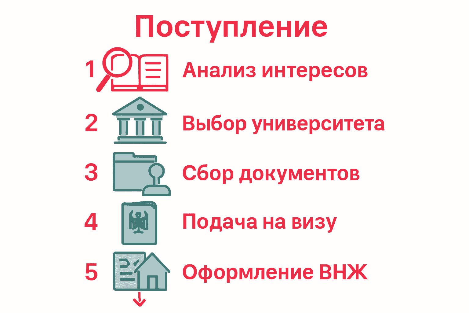 Инфографика: этапы переезда студентом в Германию