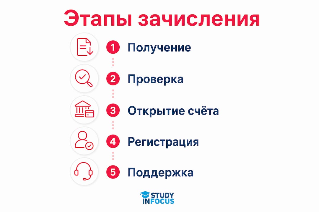 Инфографика: как мы помогаем на каждом этапе поступления в немецкие университеты