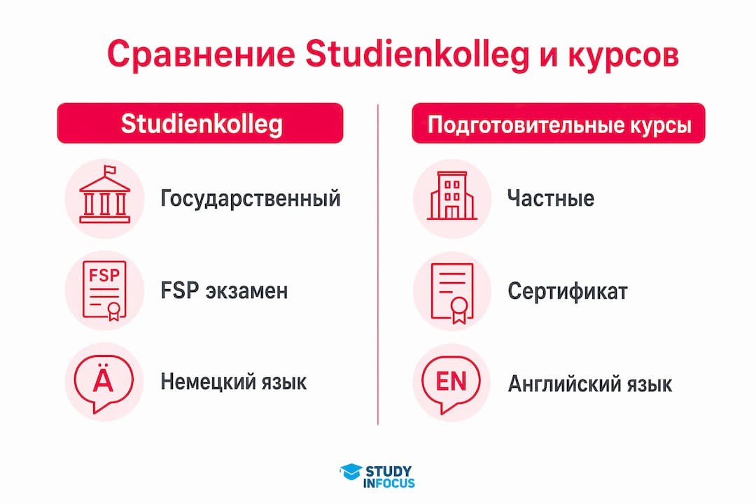 Инфографика: чем отличается Штудиенколлег от обычных подготовительных курсов