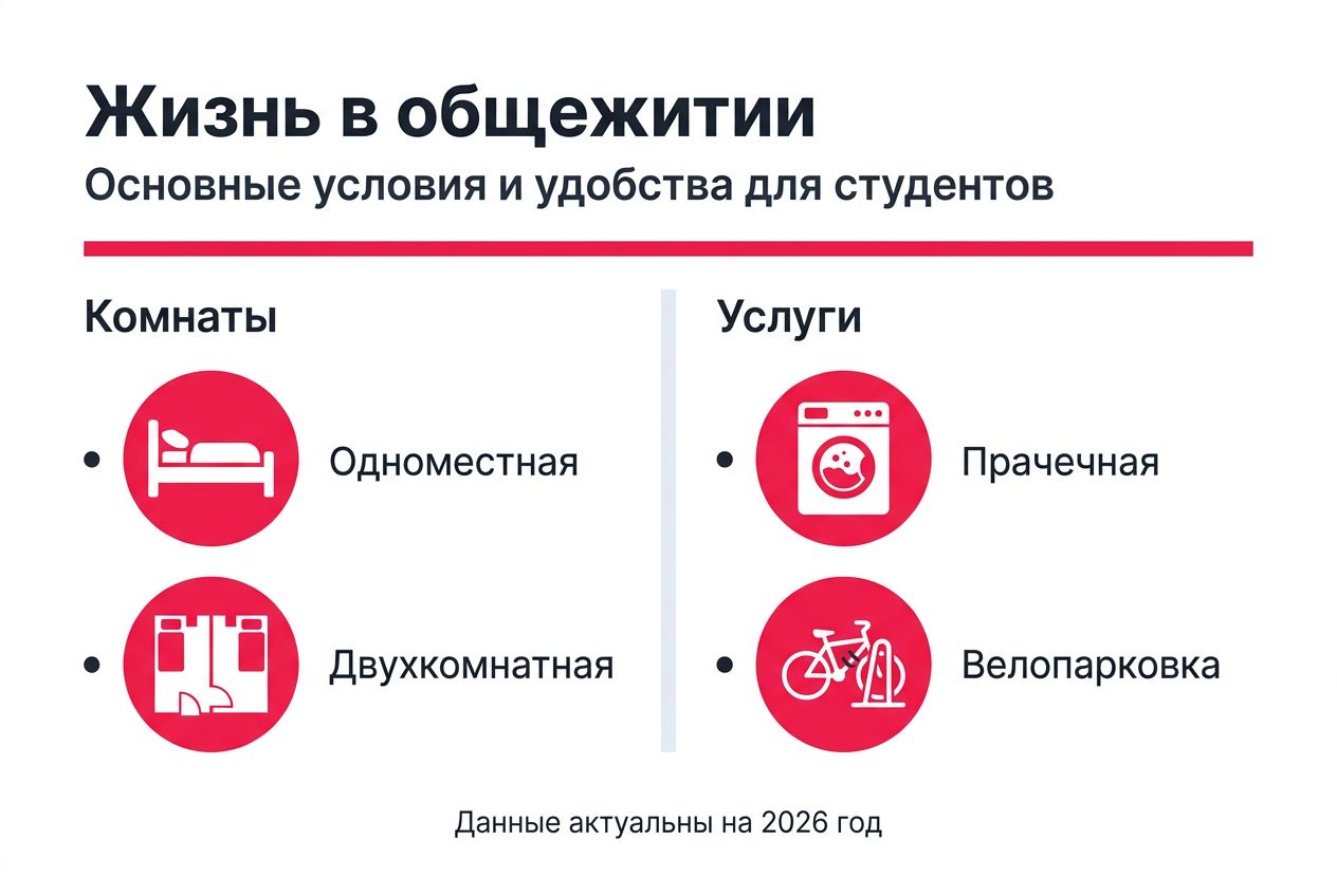 Инфографика о жизни в общежитии: условия проживания и предоставляемые услуги