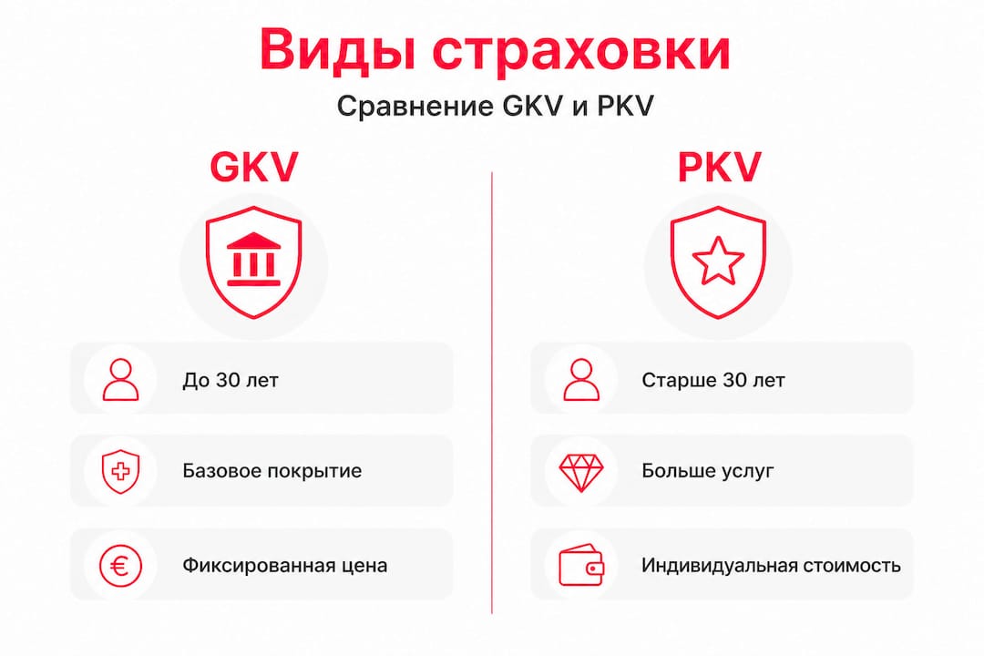 Сравнительная инфографика по государственному и частному медицинскому страхованию для студентов
