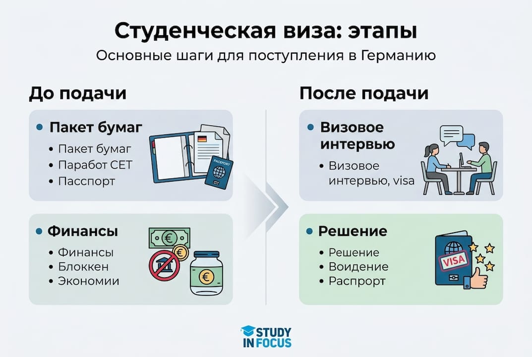 Инфографика: пошаговая инструкция по оформлению студенческой визы